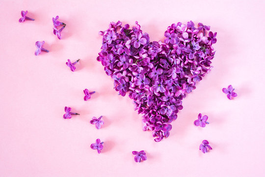 Heart of purple lilac flowers petals on a pink background