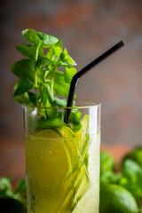 Mojito cocktail with lime and mint on the rustic background. Selective focus. Shallow depth of field.
