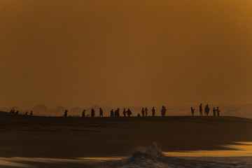Bunch of People on The Beach During Sunset 