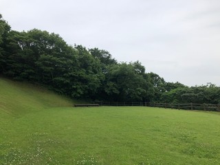 公園