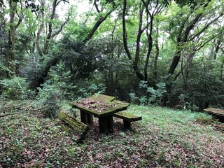 公園