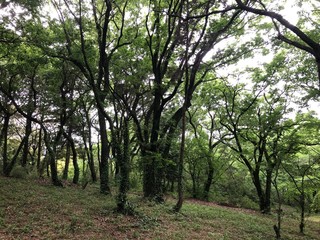 公園