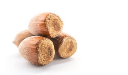 hazelnuts on a white isolated background, space for text