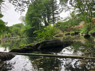公園