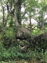 公園