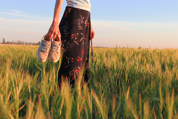 Relaxed woman legs walking in the middle of a field in summer holding shoes in hand. Close-up view no face unrecognizable person.