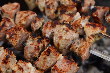 Barbecue meat on skewers, beautifully browned meat on the grill. A pork meat on the grill in the spring garden. Cooking shashlik on the mangal in nature. Shashlik cooking on the coals