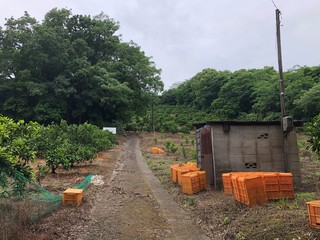 公園