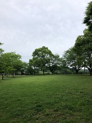 公園