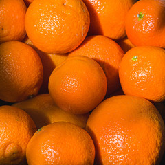 Pomarańcze - owoce cytrusowe. Tło z owoców.
