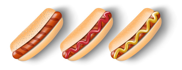 Grilled Hot Dog with mustard and ketchup isolated on white. Hot dog for poster, menu or brochure. Unhealthy fast food concept. vector illustration