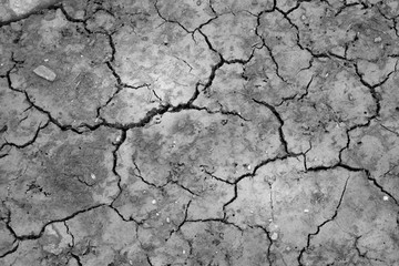 cracked earth on brown dry ground