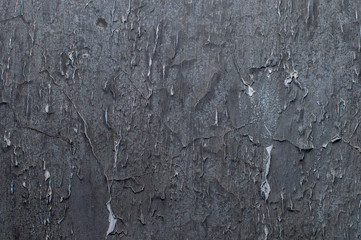 texture of an old wall in a dark shade of color