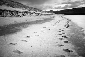 foot prints on the sandy beach