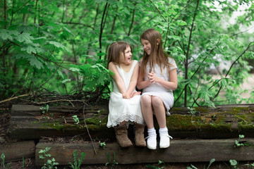 Tender young girls children sit on logs near a maple tree. Children talk and sincerely communicate,...