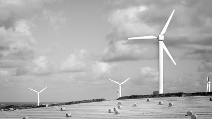 windfarms in fields in England