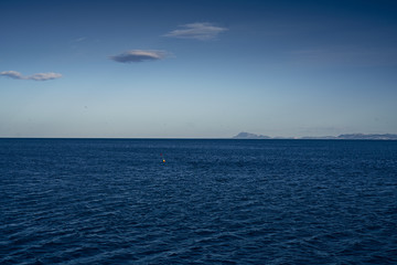 gulls fly over the blue horizon of the sea