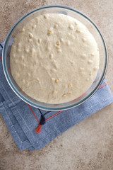 Raw dough for whole wheat rye bread in a bowl.