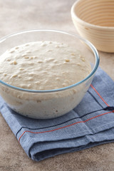 Raw dough for whole wheat rye bread in a bowl.
