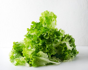 Heap of fresh organic lettuce leaves on the white table agaisnt white background.Natural leaves salad