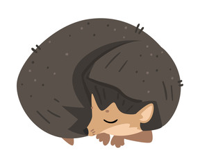 Cute Hedgehog Sleeping Curled Up, Lovely Wild Forest Animal Cartoon Character Vector Illustration