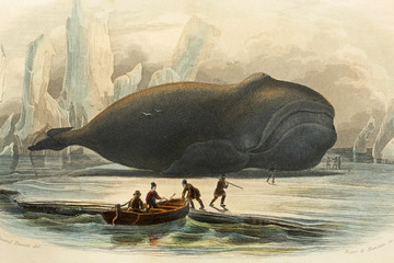 Whale hunting. Antique illustration. 1856.