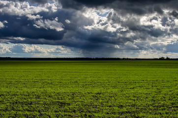 Storm dark clouds over field. Cloudy sky over green field. Rain before