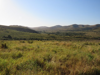 南アフリカのHluhluwe-iMfolozi park（シュシュルウェ・イムフォロジパーク）