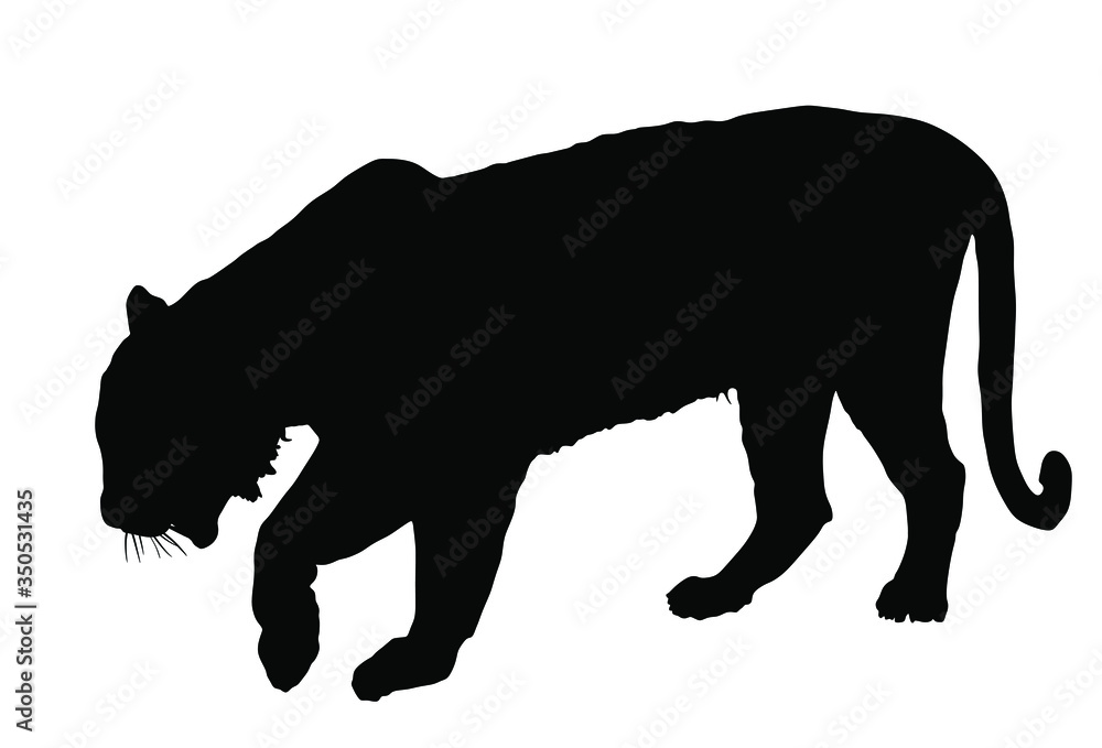 Wall mural Tiger vector silhouette illustration isolated on white background. Big wild cat. Siberian tiger (Amur tiger - Panthera tigris altaica) or Bengal tiger. Tatoo sign. - Wall murals