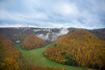 Obraz premium German Forest in Autumn