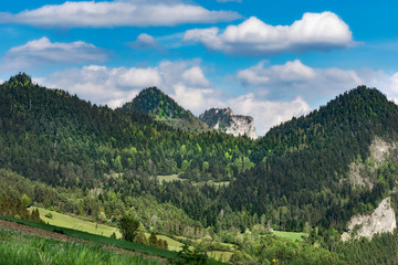 Obraz premium wiosna