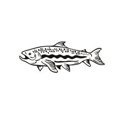 Spotted Trout Fish Right Side View Retro Black and White