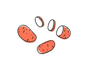 Doodle Hand drawn stylish fruit and vegetable. Vector artistic drawing fresh organic food. Summer illustration vegan ingrediens for smoothies