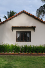 Outdoor shot of beautiful fresh green plants growing outside cozy house