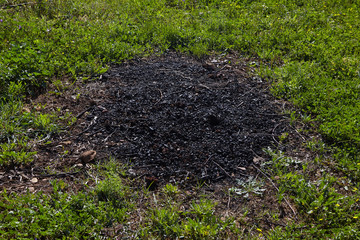 .burning branches in the field