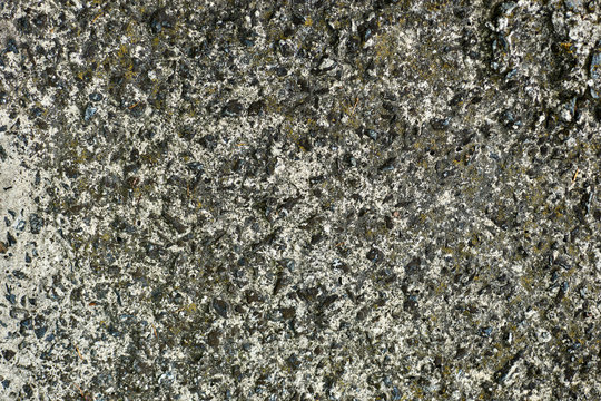 The texture of the old concrete. Can be used as background.