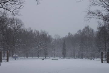 Winter scenery, snowstorm in park
