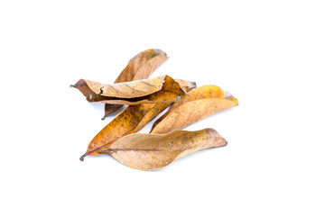 Fototapeta premium dry leaves isolated on a white background