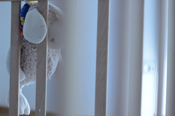 Small plush toy for a baby.