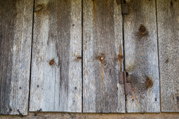 background texture wood tree bark Board