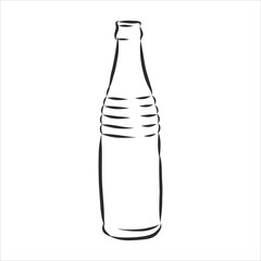 Vector of Sketch Bottles. Vector of Sketch Bottles. glass bottle, vector sketch illustration