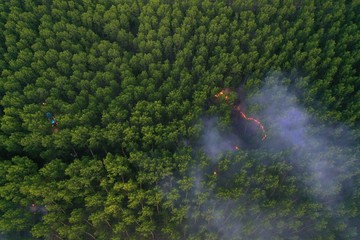 Forest fire. Dry undergrowth with burning gray smoke in the air, natural disaster. Aerial view. Firefighters extinguished the fire. Attention - evening shot shows noise in the picture!