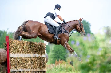 Foto auf Acrylglas Eventing: equestrian rider jumping over an a brance fence obstacle © Dotana