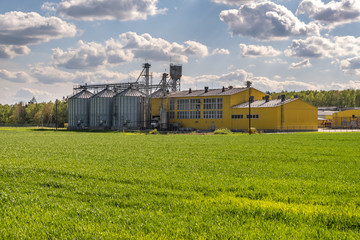 Fototapeta na wymiar agro-processing and manufacturing plant for processing and silver silos for drying cleaning and storage of agricultural products, flour, cereals and grain. Granary elevator.