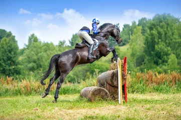 Zelfklevend Fotobehang Eventing: equestrian rider jumping over an a brance fence obstacle © Dotana