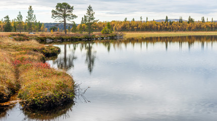 Beautiful and calm autumn colored landscape scenery early morning in Norway, trees reflects in the water/lake.