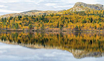 Beautiful and calm autumn colored landscape scenery early morning in Norway. With yellow trees and mountain reflections in the lake infront.