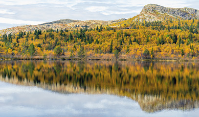 Beautiful and calm autumn colored landscape scenery early morning in Norway. With yellow trees and mountain reflections in the lake infront.