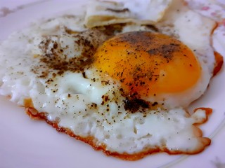 egg omelette