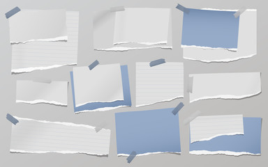 Torn of white and blue note, notebook paper strips, pieces stuck on grey background. Vector illustration